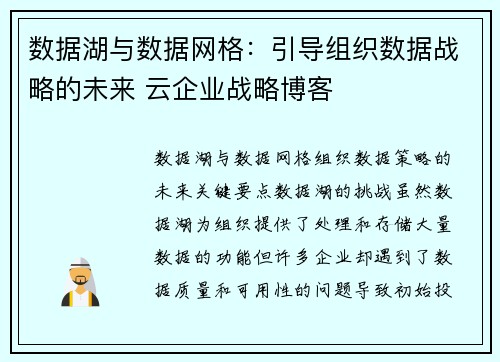 数据湖与数据网格：引导组织数据战略的未来 云企业战略博客